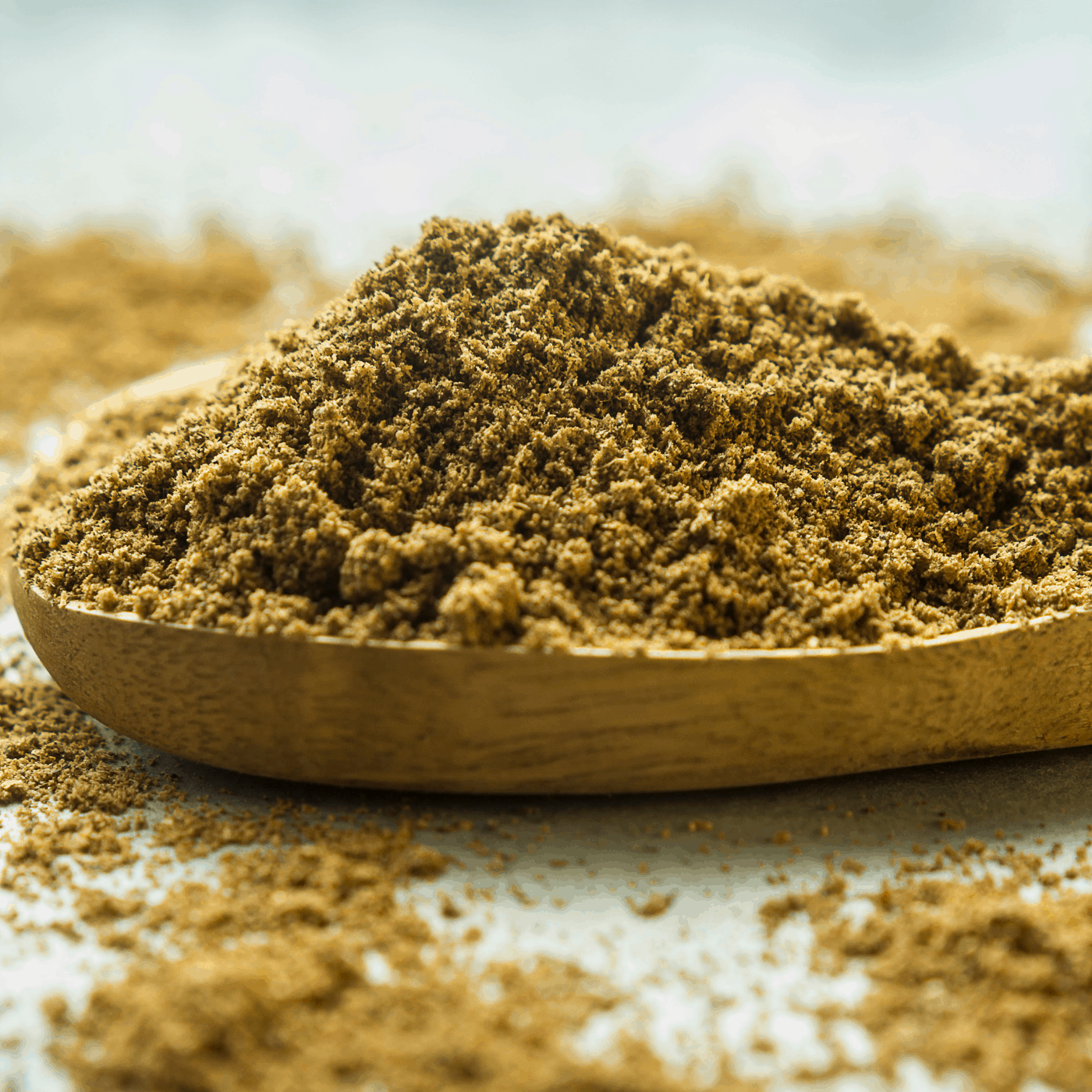 Mauritian Curry Powder